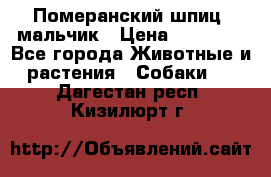 Померанский шпиц, мальчик › Цена ­ 35 000 - Все города Животные и растения » Собаки   . Дагестан респ.,Кизилюрт г.